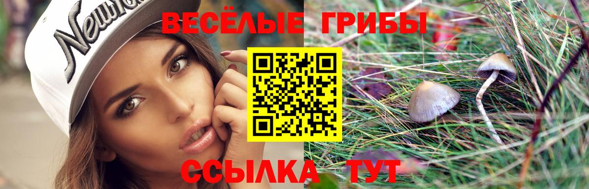 Псилоцибиновые грибы GOLDEN TEACHER Ханты-Мансийск
